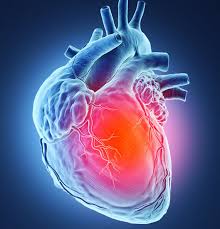 Cardiology or heart specialist doctor Khulna